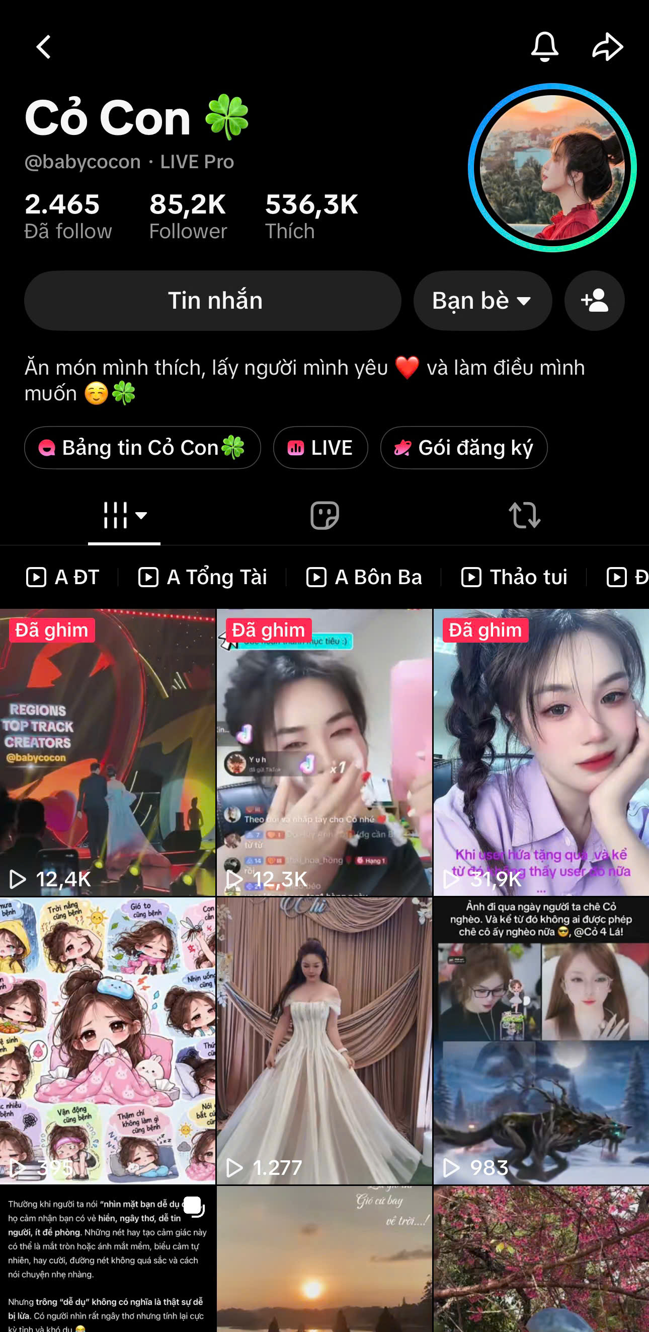 Hồ sơ TikTok Cỏ Con, @babycocon