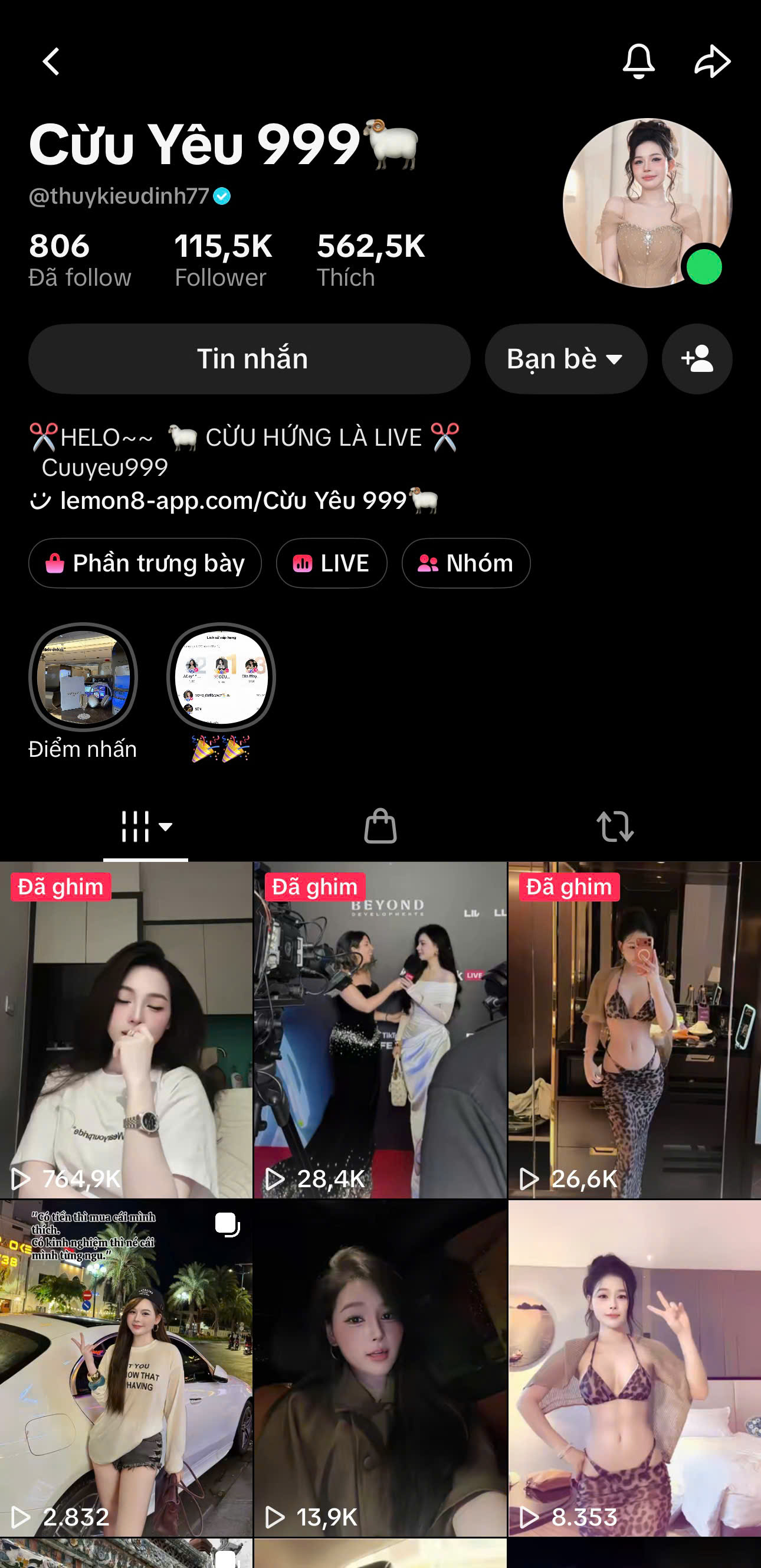 Hồ sơ TikTok Cừu Yêu 999, @thuykieudinh77